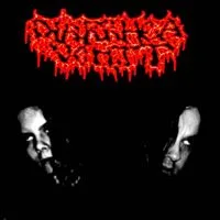 Diarrhea Vomit