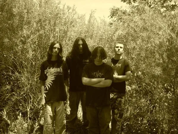 Crown of Aggression
