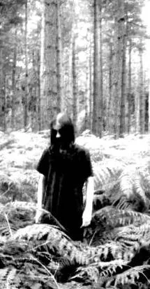 Skog