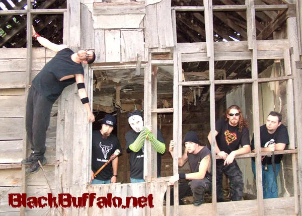 Black Buffalo