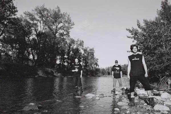 Black Reign