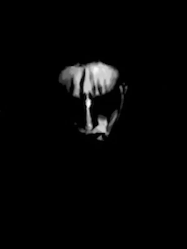 Blasphemer 666