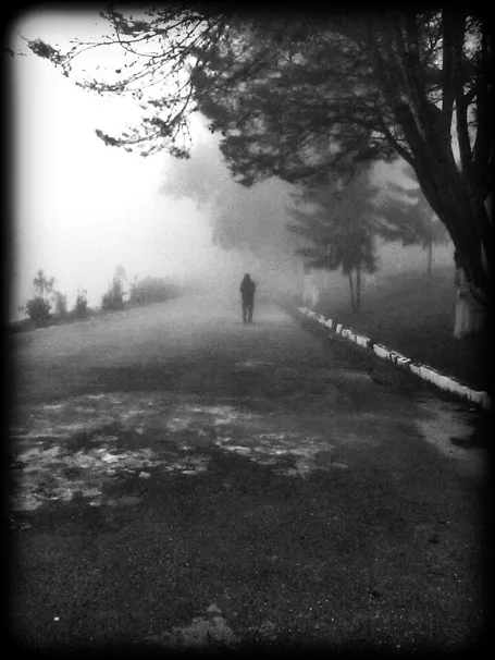 Bleak