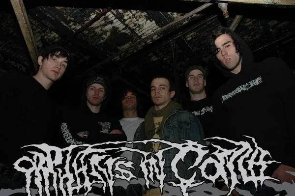 Orphans in Coma