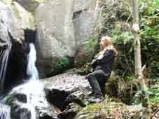 Eisiger Wald