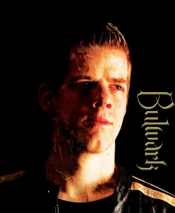 Bulwark