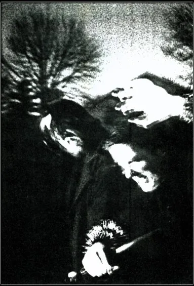 Erasmus