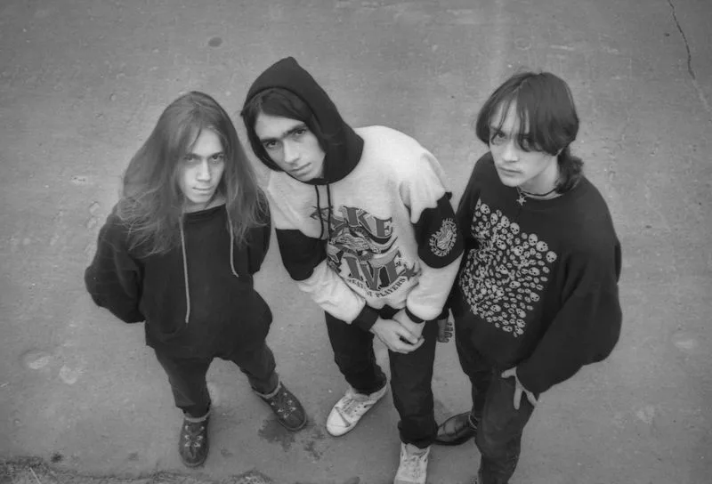Carnal Decay