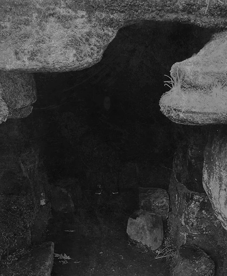 Cave Dweller