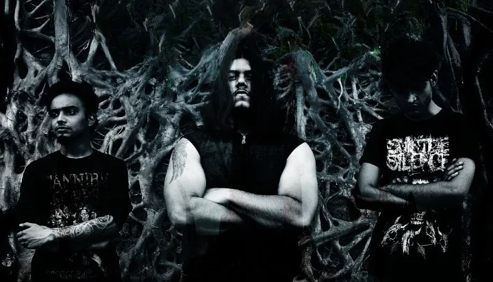 Cerebral Recalibration