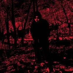 Chambers of Gall