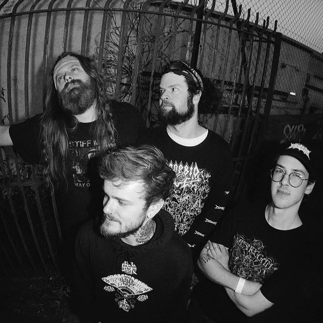 Chewing Glass Collective