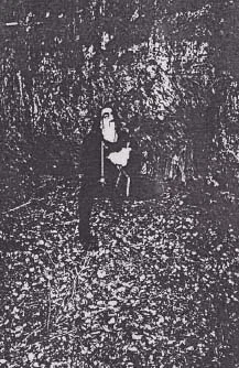 Illska