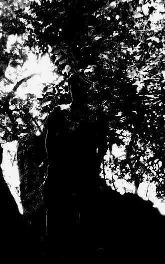 Cold Void