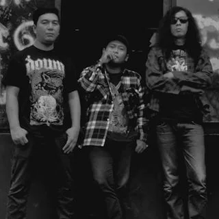 The Corals