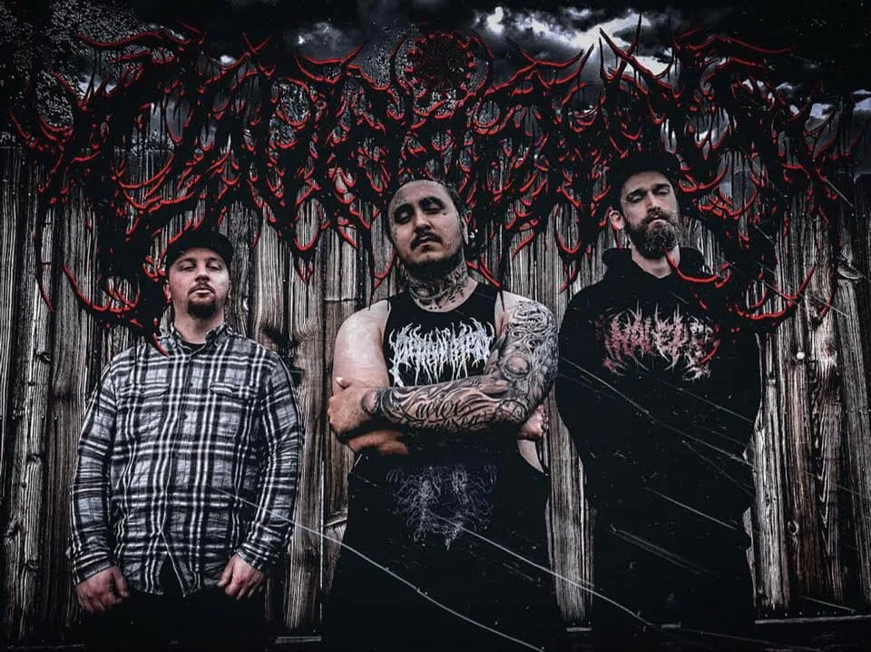 Covidectomy