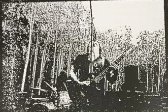 Cross Rot