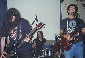 The Walruz