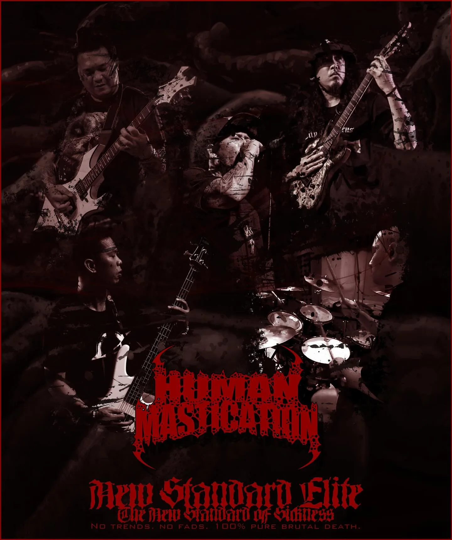 Human Mastication