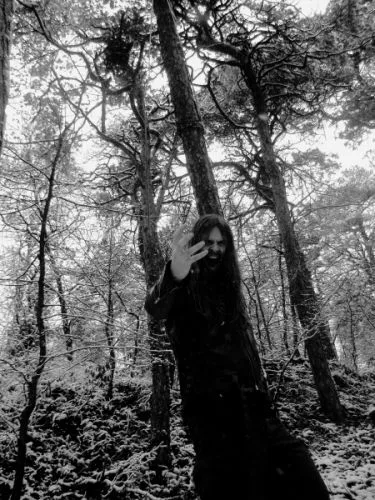 Dark Forest of Fangorn