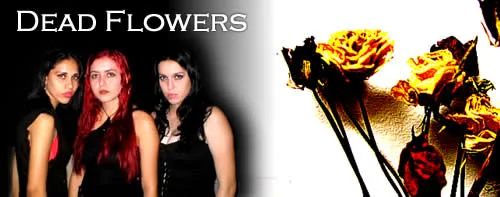 Dead Flowers