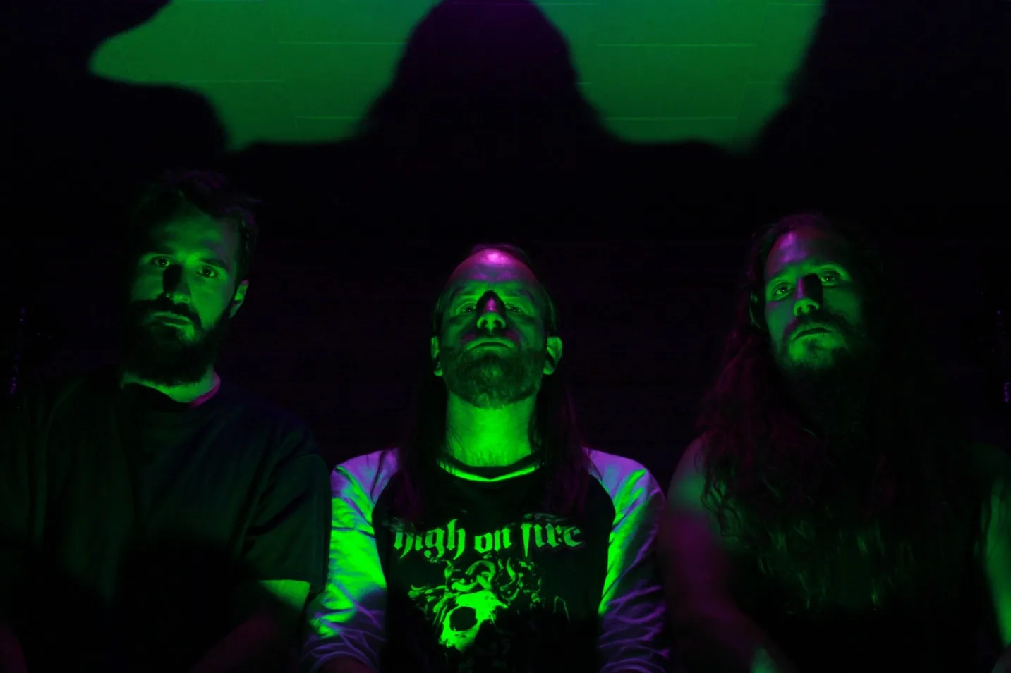 Deadroots